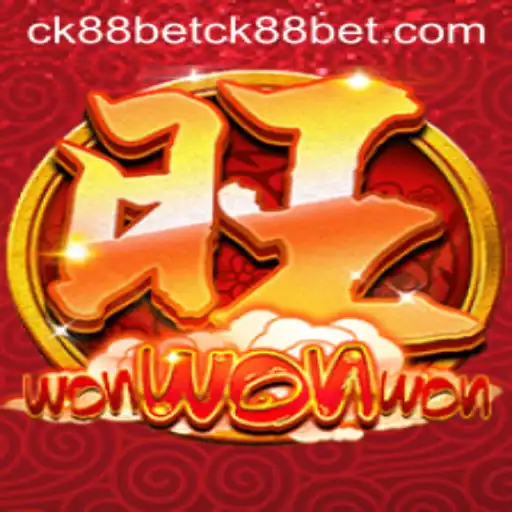 Exploring WonWonWon: The Dynamic Game Experience
